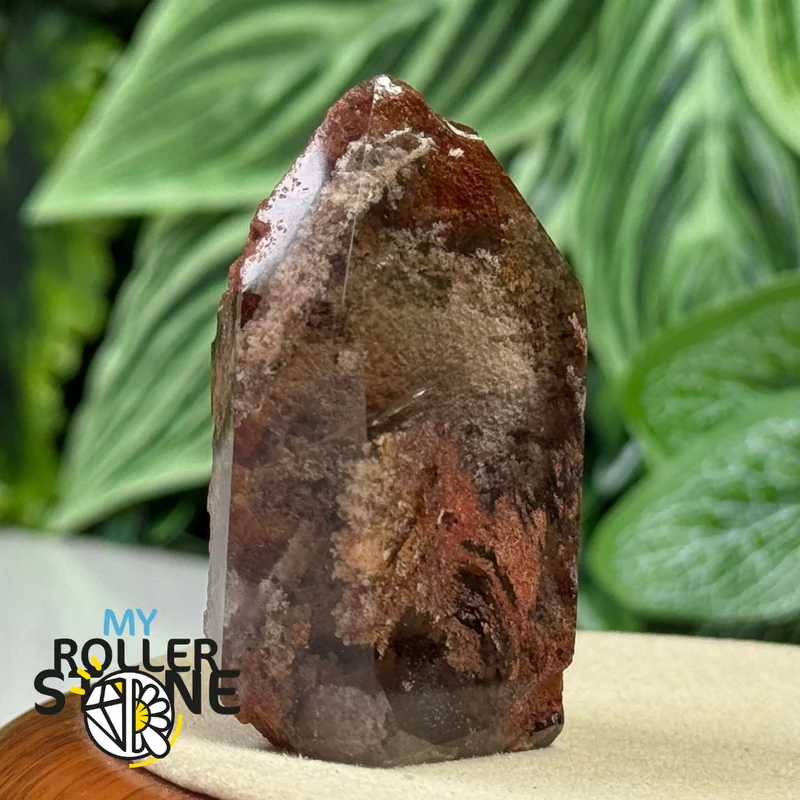 Punta Lodolita n.° 1