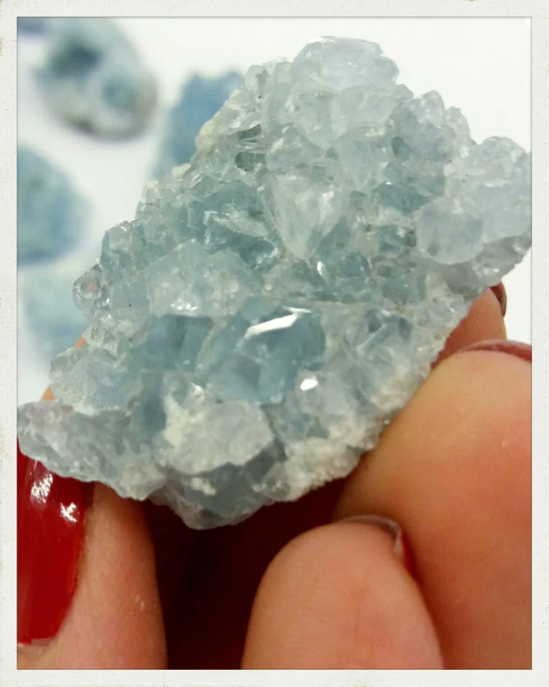 Celestinas pequeñas
