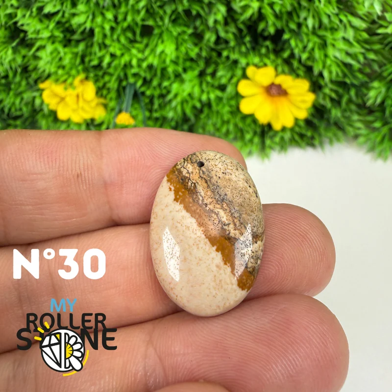 Colgante perforado Jasper Landscape 5A
