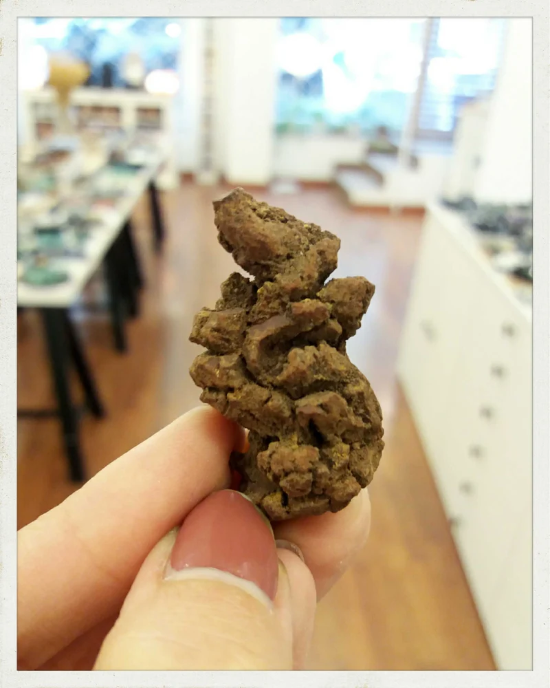 Coprolitos (excremento fósil)