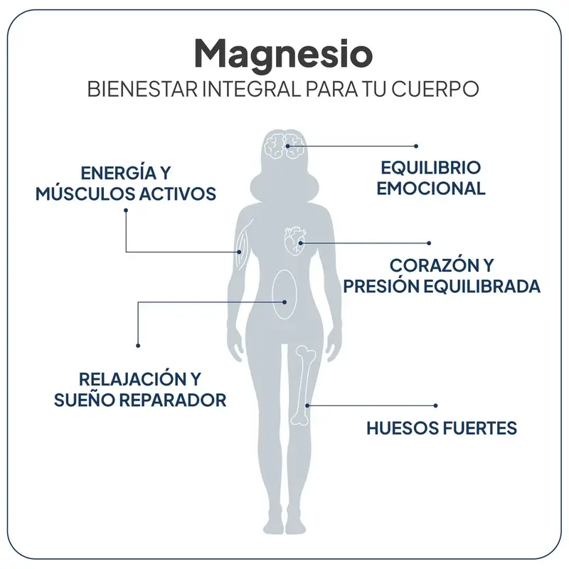 Ivb Wellness Lab Pack Descanso Profundo, Magnesio total, 60 cápsulas + SomniLove, 180 gr