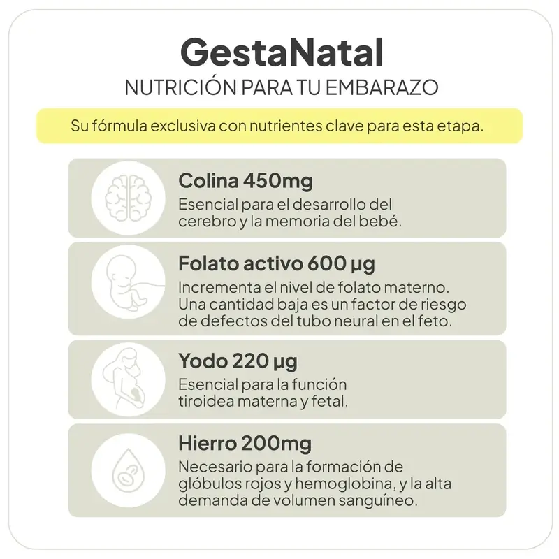 Ivb Wellness Lab Gestanatal, 60 cápsulas