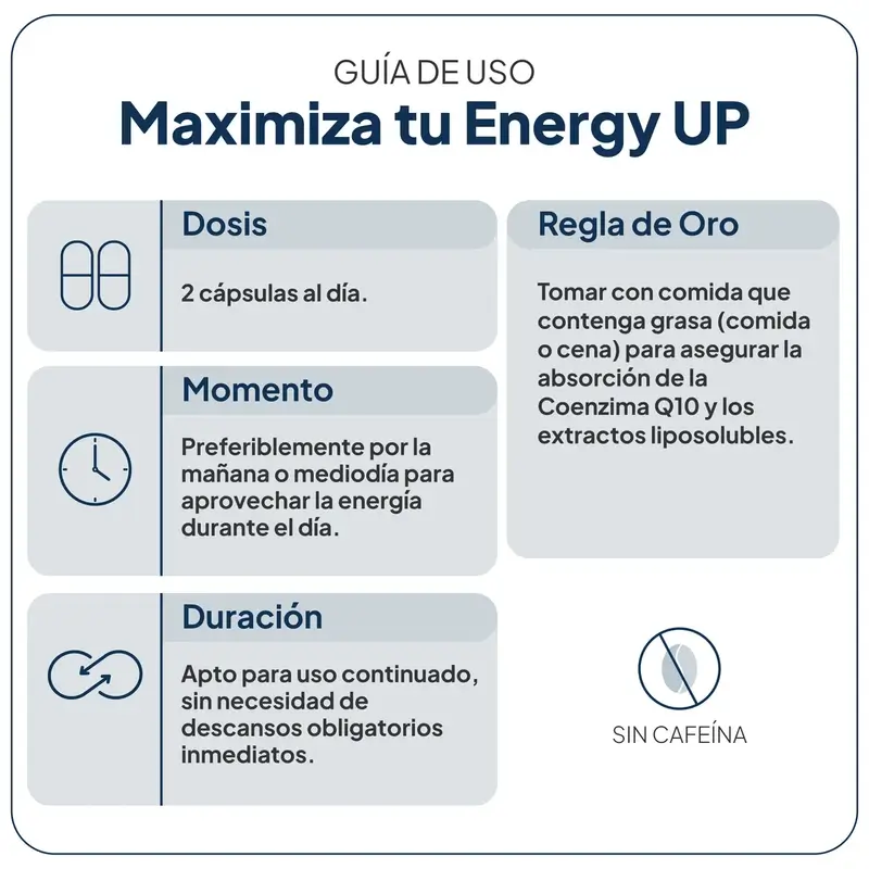 Ivb Wellness Lab Energy Up, 60 cápsulas