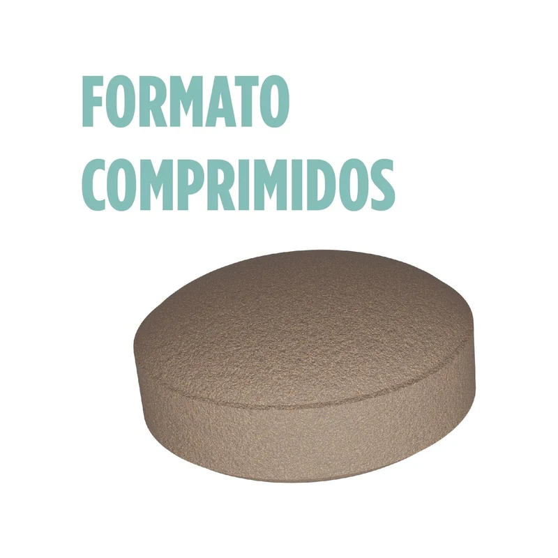 Ginkoro Cogniben 90 Comprimidos | Eladiet