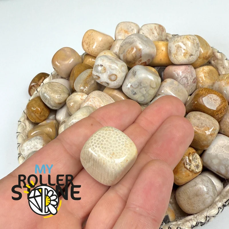 Piedra pulida de crisantemo
