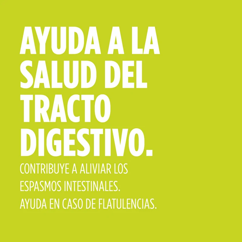 Digest Gases 60 Comprimidos | Eladiet