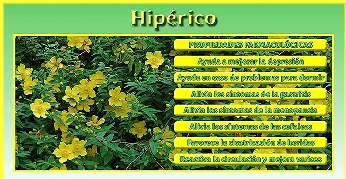 Hipérico EFNE – Equilibrio Emocional y Mejora del Descanso