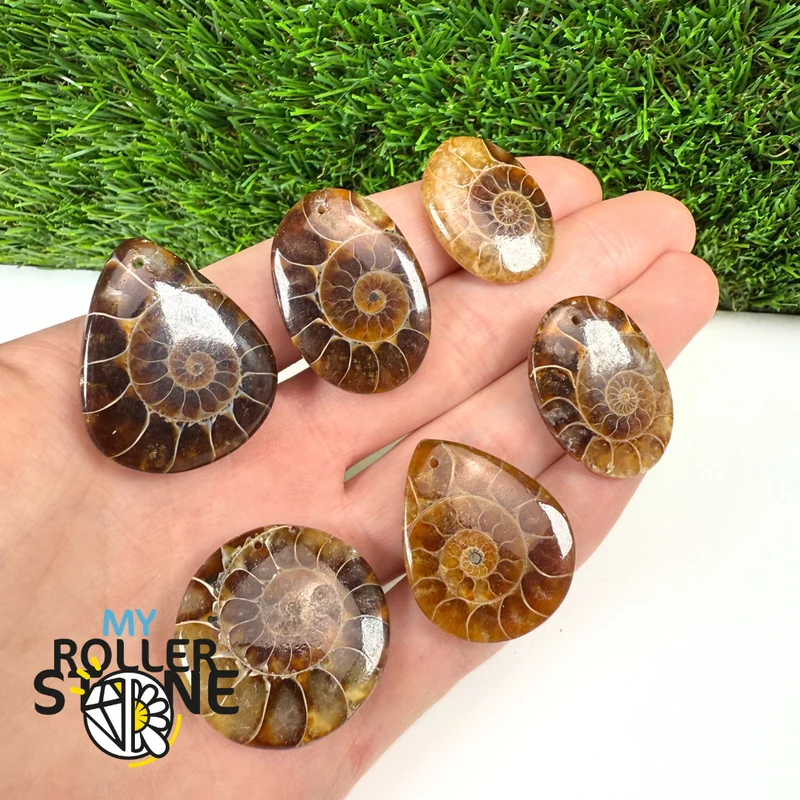 Colgante de amonita con agujeros