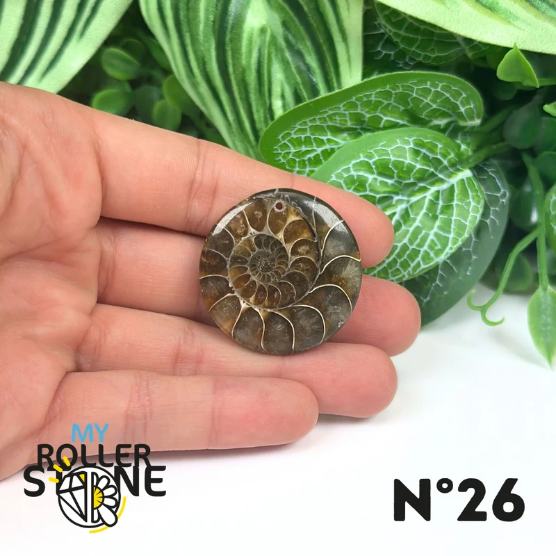 Colgante de amonita con agujeros