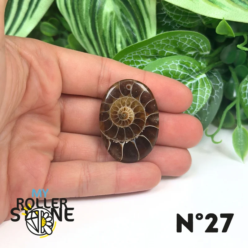 Colgante de amonita con agujeros