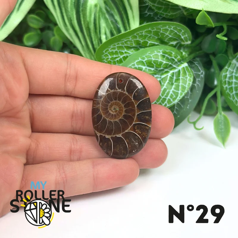 Colgante de amonita con agujeros