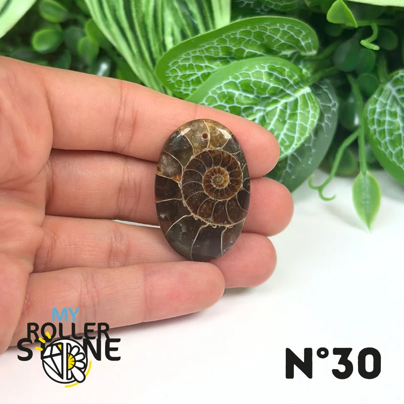Colgante de amonita con agujeros