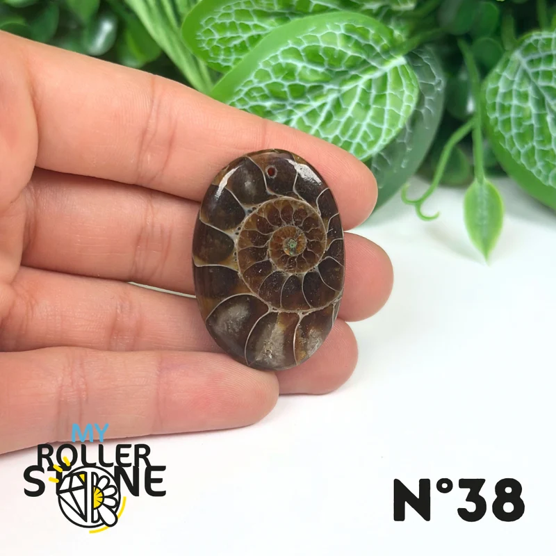 Colgante de amonita con agujeros