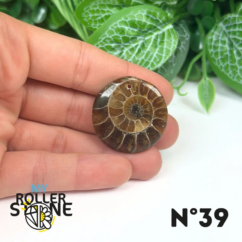 Colgante de amonita con agujeros