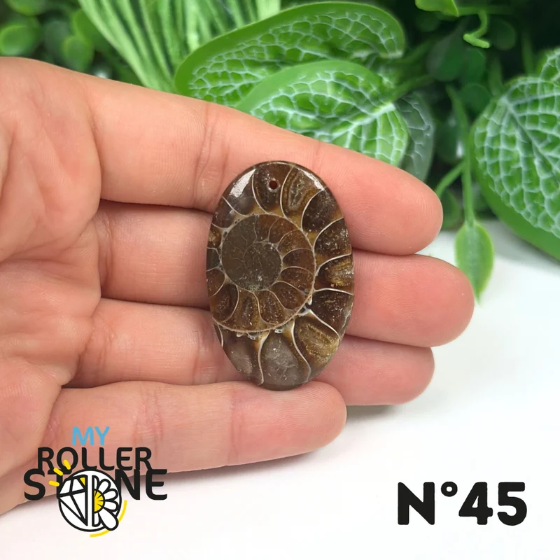 Colgante de amonita con agujeros