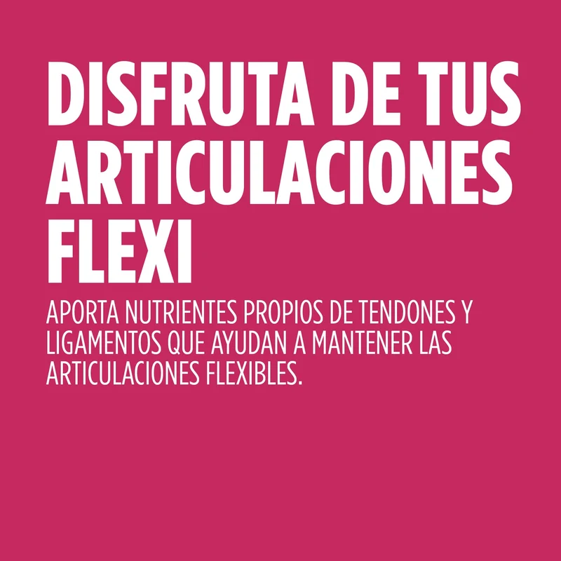 Regendol Flexi 14 Sticks | Eladiet