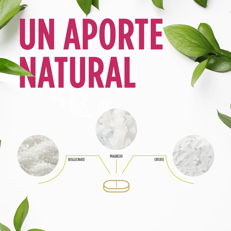 Regendol Magnesio 40 Comprimidos | Eladiet