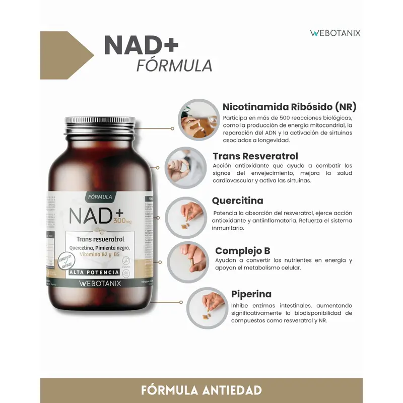 Webotanix Nad+Resveratrol Fórmula, 60 cápsulas