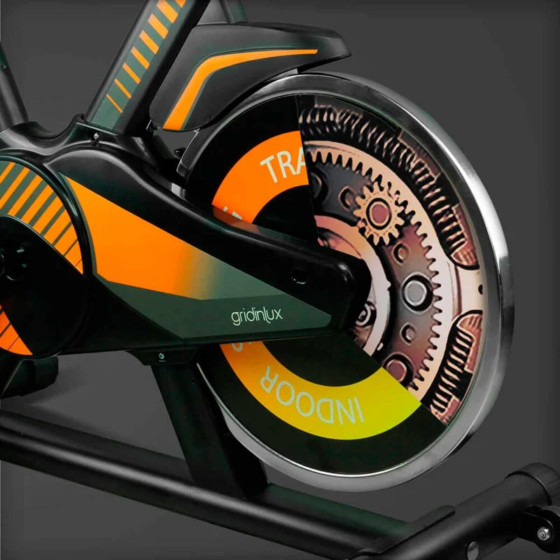 Bicicleta Ciclo Indoor Trainer ALPINE 6000. Volante de Inercia 10 kg Avanzado.
