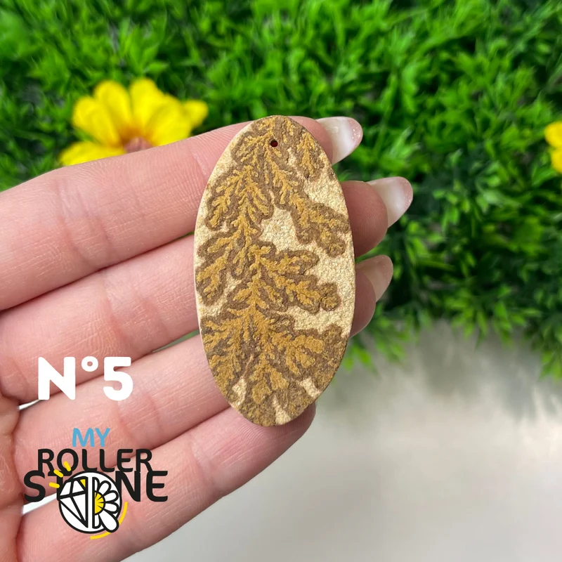 Colgante de fósil dendrítico perforado 5A