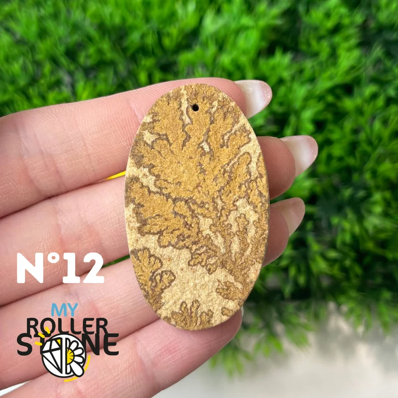 Colgante de fósil dendrítico perforado 5A