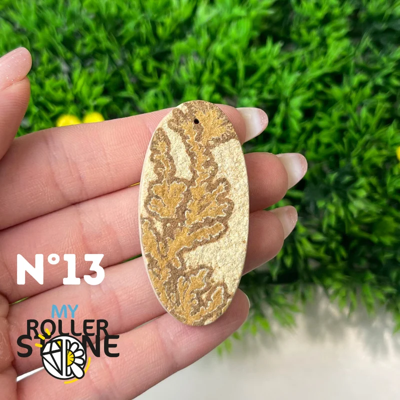 Colgante de fósil dendrítico perforado 5A