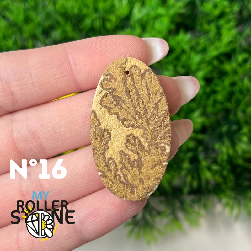 Colgante de fósil dendrítico perforado 5A