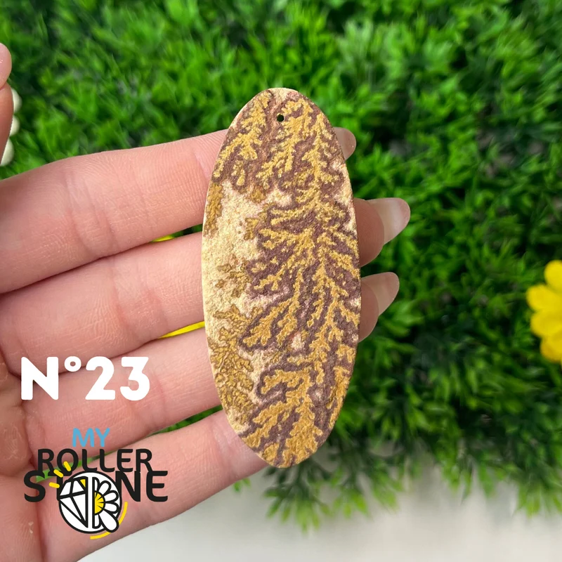 Colgante de fósil dendrítico perforado 5A