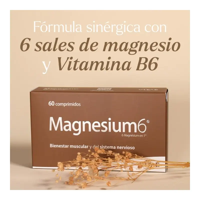 Magnesium6 120 comprimidos - Con 6 sales de magnesio, vitamina B6 y taurina