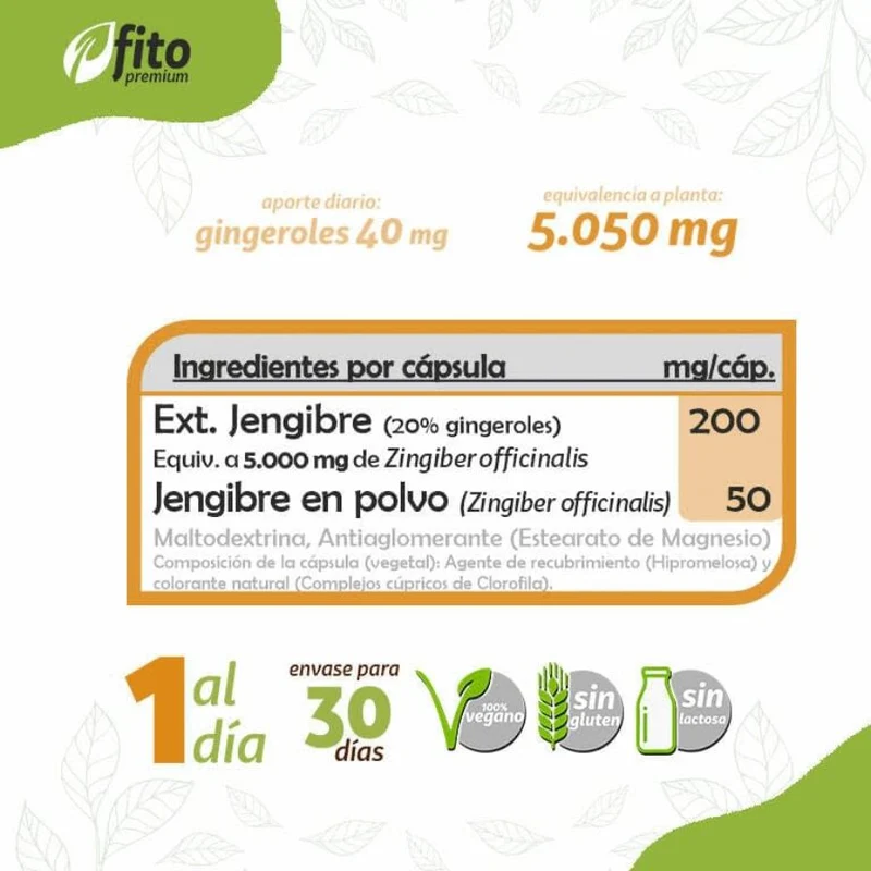 Fito Premium Jengibre 30 cápsulas | Pinisan