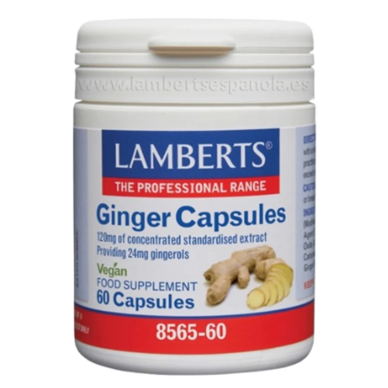 Jengibre 60 Capsulas | Lamberts