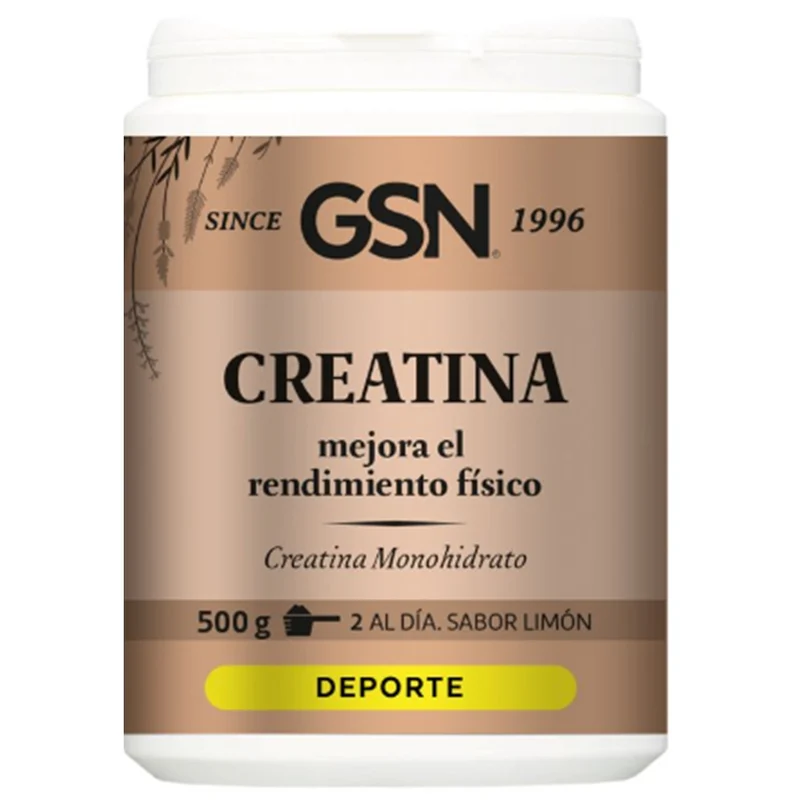 Creatina 125 500 gr | GSN