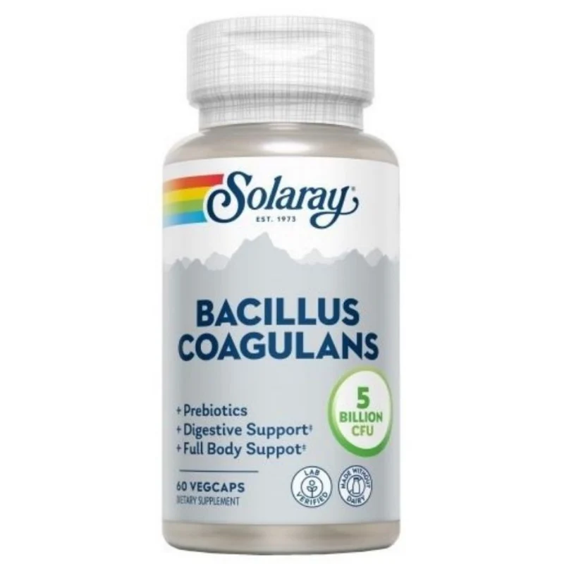 Bacillus Coagulans 60 Vegcaps | Solaray
