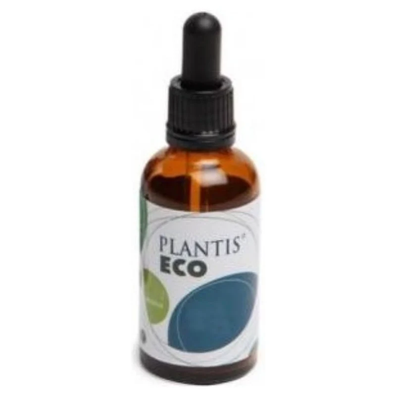 Extracto de Equinacea Eco 50 ml | Plantis