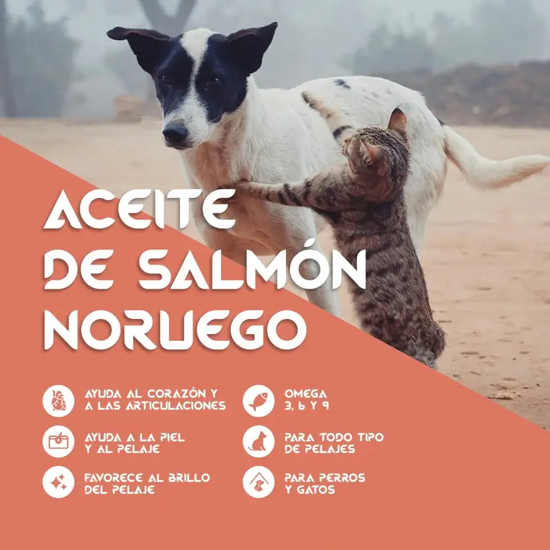 Togo Aceite De Salmon, 250 ml