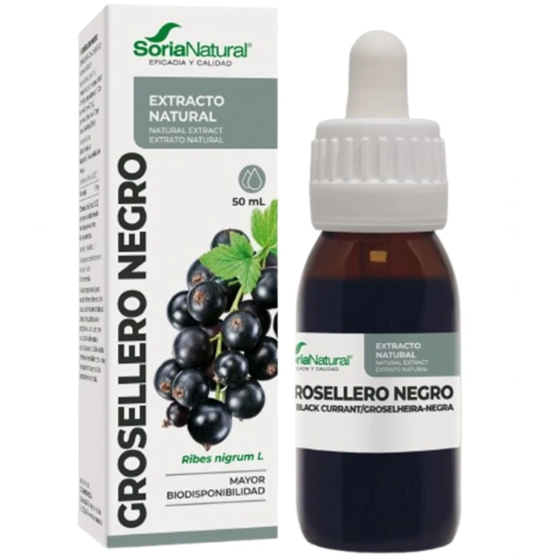 Extracto de Grosellero Negro 50 ml | Soria Natural