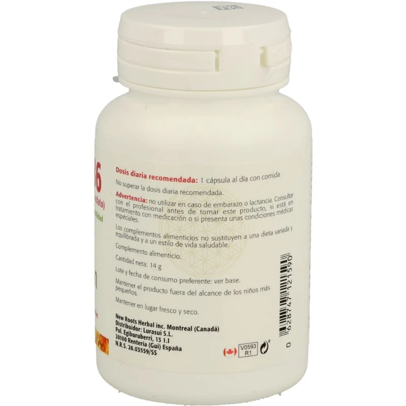 Vitamina B6 60 Capsulas | Sura Vitasan