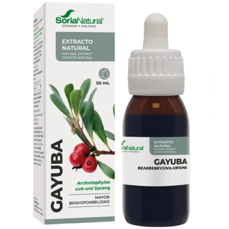 Extracto de Gayuba Siglo XXI 50 ml | Soria Natural