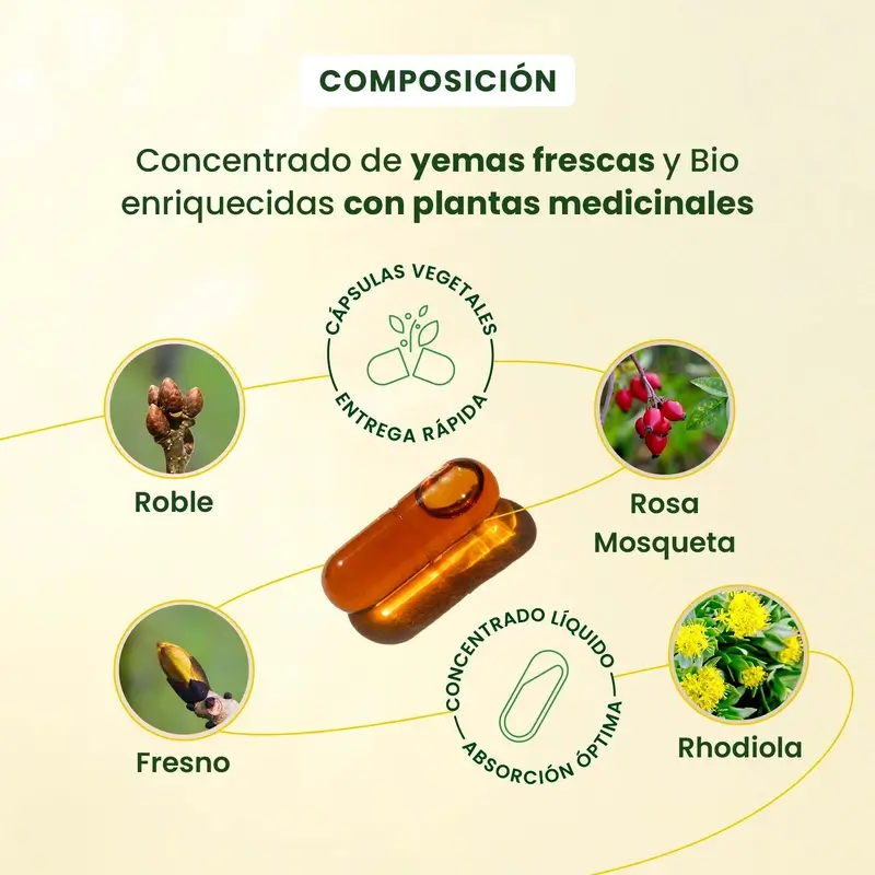 Herbalgem Gemmocaps Stress Protect Ánimo +, 30 cápsulas