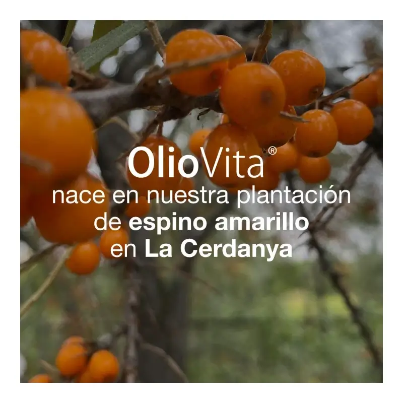 Oliovita 150 cápsulas - Con aceite de espino amarillo rico en Omega 7